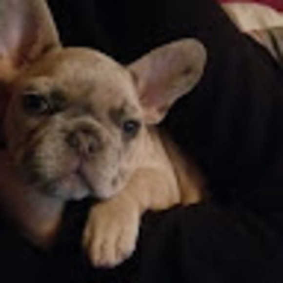 Meet your Posher, James - Picture 1 of 1